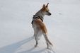 DSC_2293-2_(2)