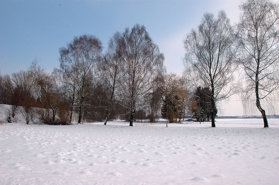 DSC_2266