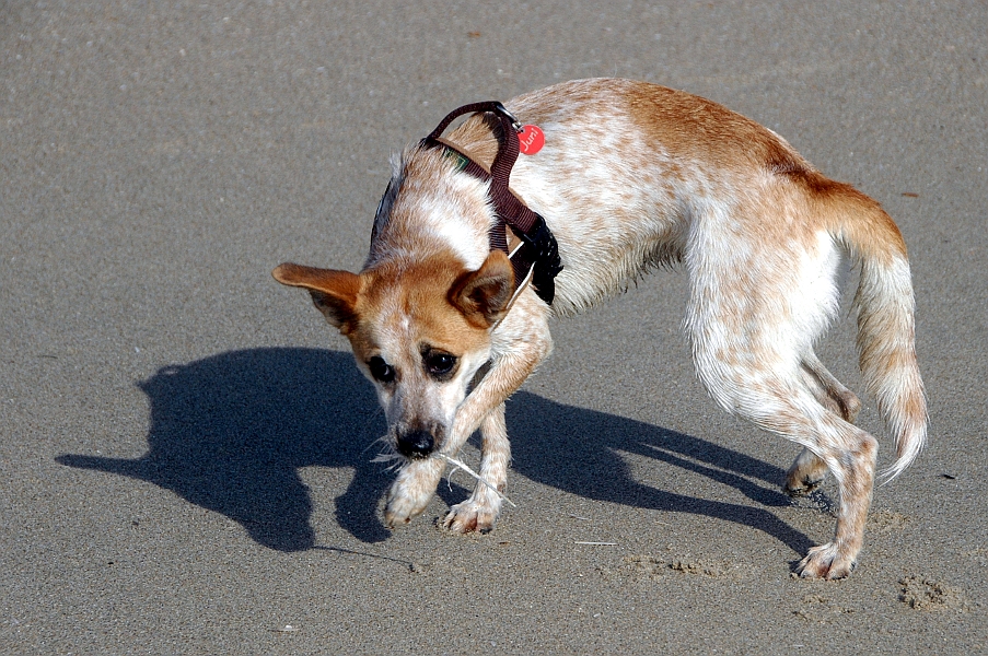 DSC_0313