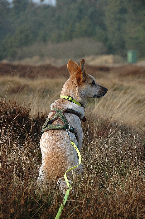 DSC_2670