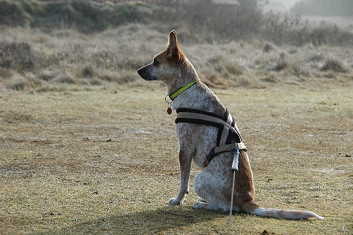 DSC_2678