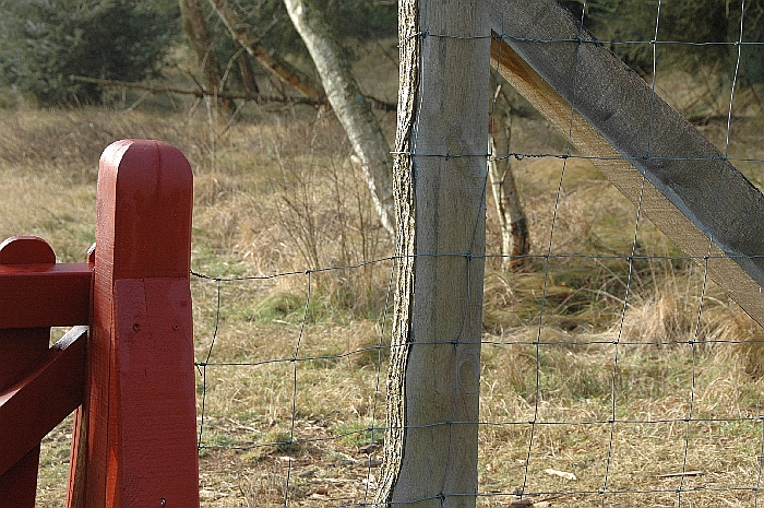 DSC_2685