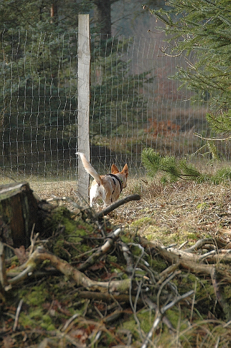 DSC_2693