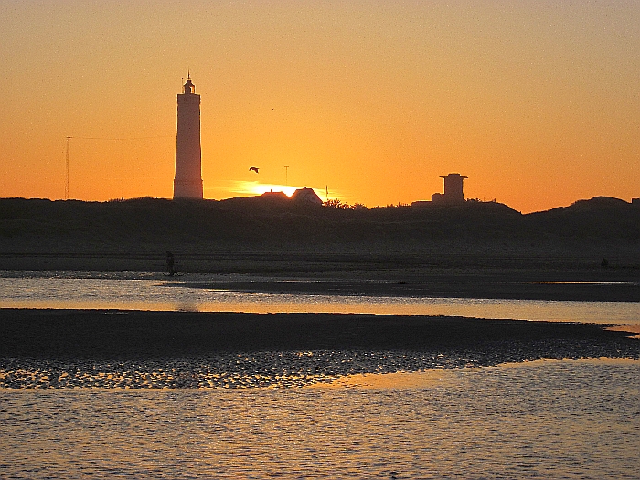 IMG_0315