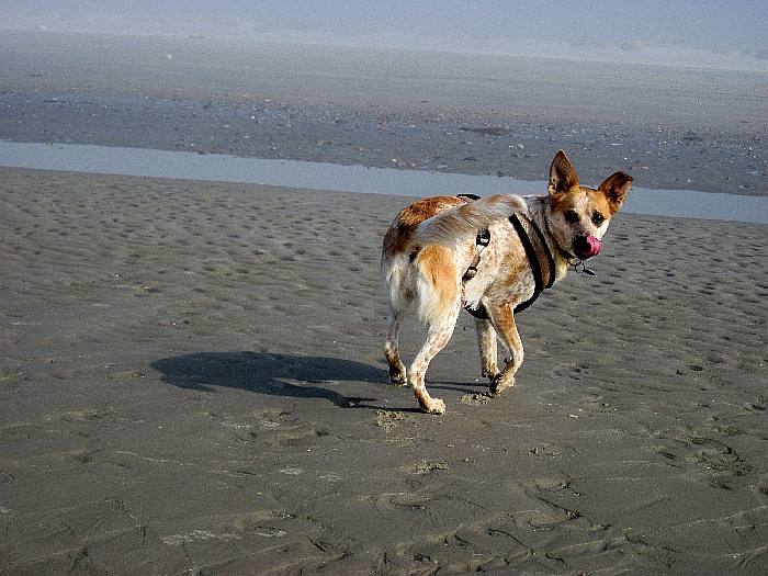 IMG_0415